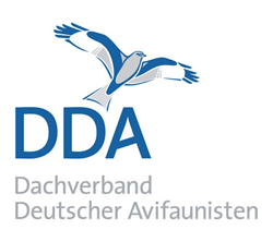 logo dda